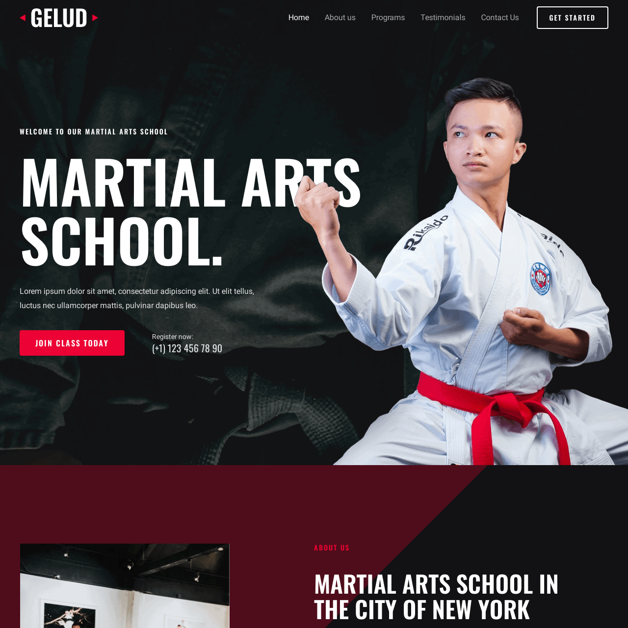 martial-arts-website-design